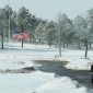 USAF Academy Cemetery
