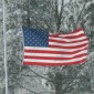 American flag