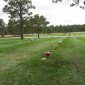 Cemetery