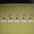 Cups to turn in 2016 annual ceremony