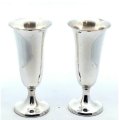 Silver cups, each classmate bought one