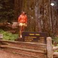 Avenue of the Giants Marathon