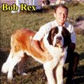 Bob Rex